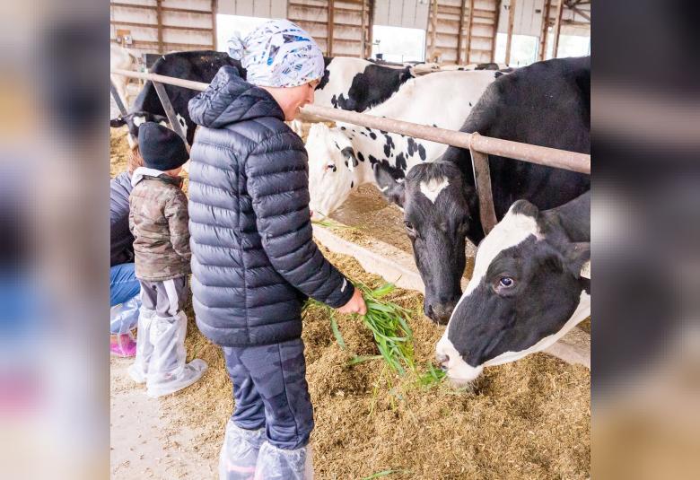 Up close learning with New Day Dairy GuestBarn’s cows