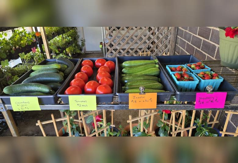 Fresh produce available at Palmer’s Market